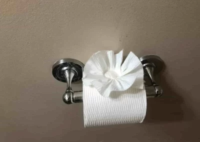 Home Cleaner
